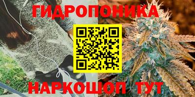 spice Пугачёв